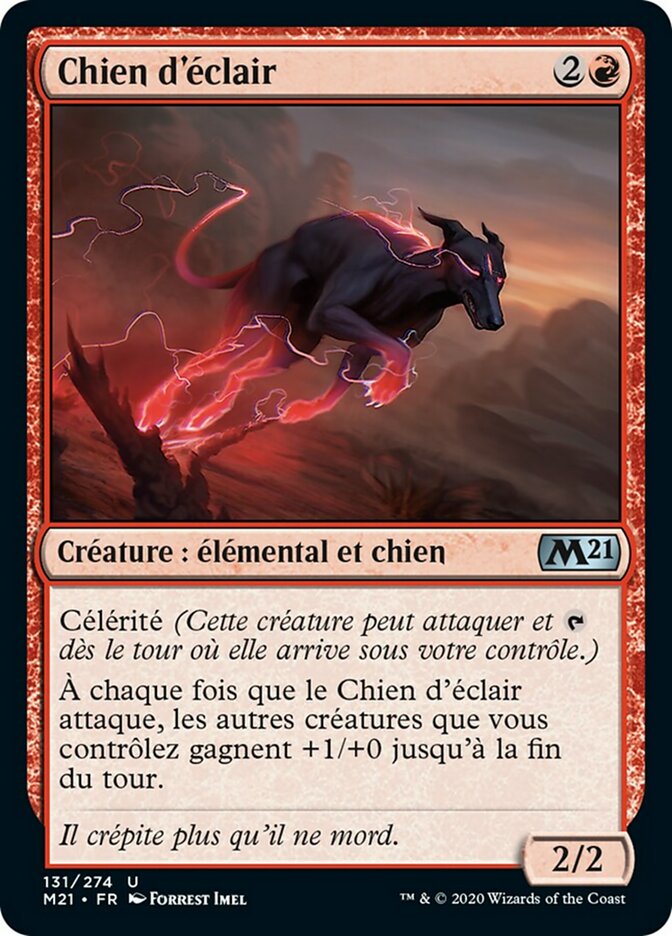 image Chien d'éclair