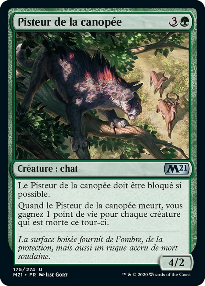 image Pisteur de la canopée