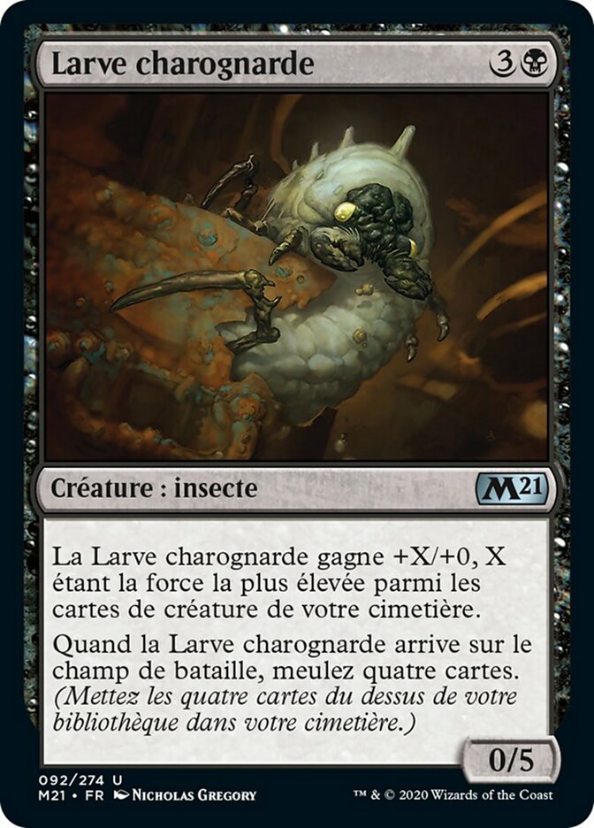 image Larve charognarde