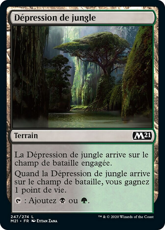 image Dépression de jungle