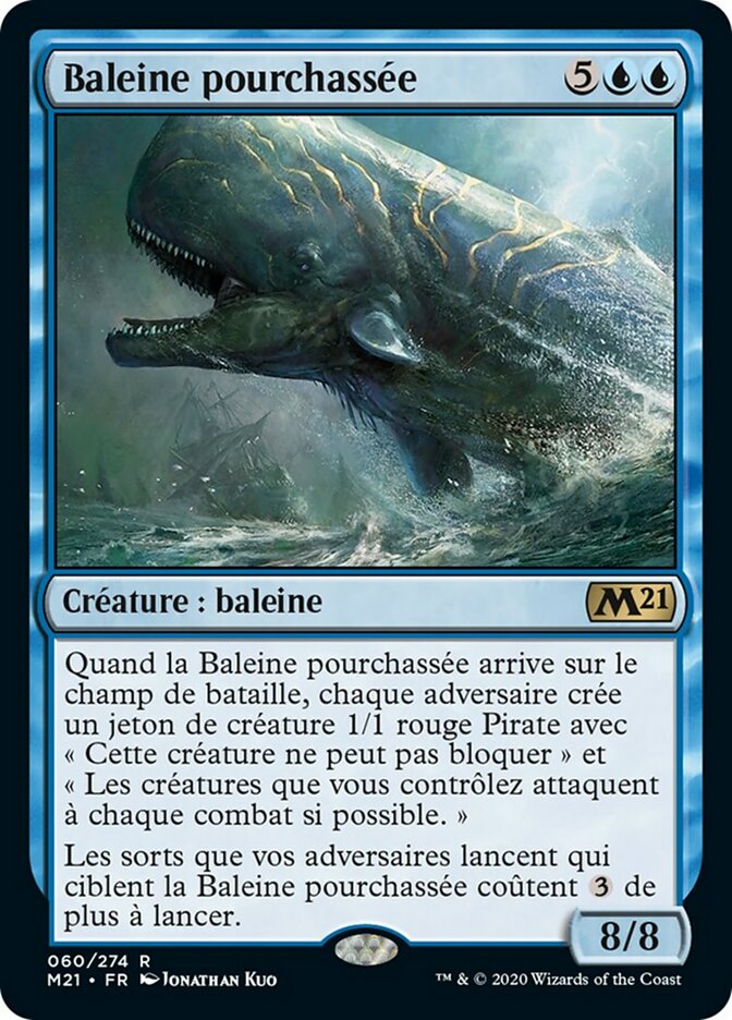 image Baleine pourchassée