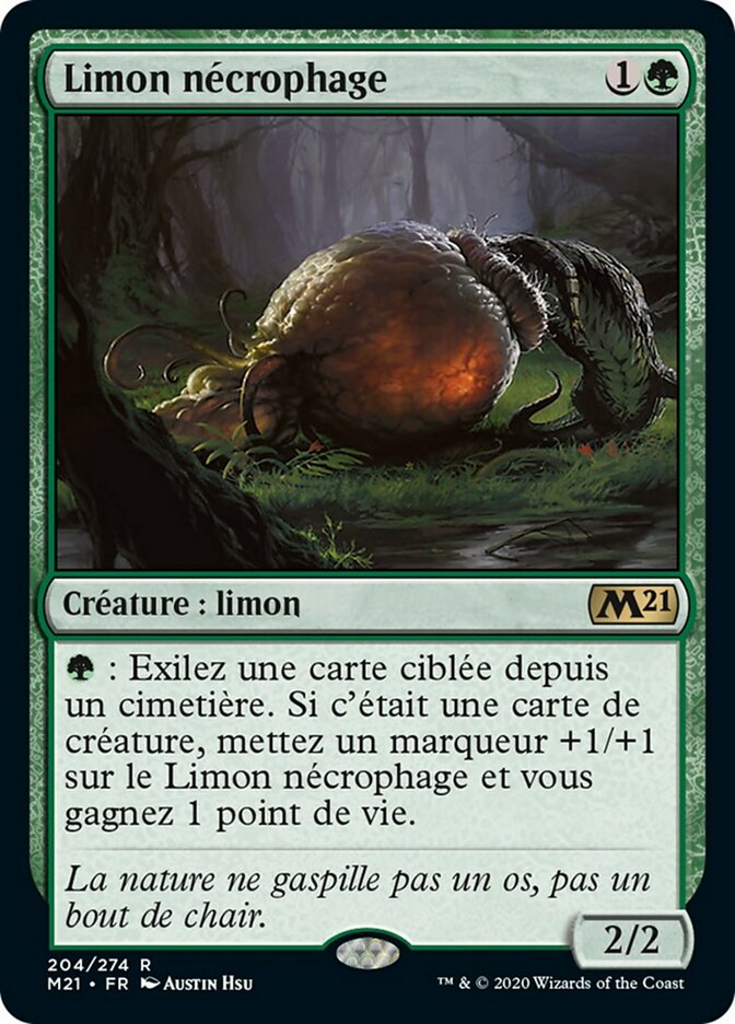 image Limon nécrophage