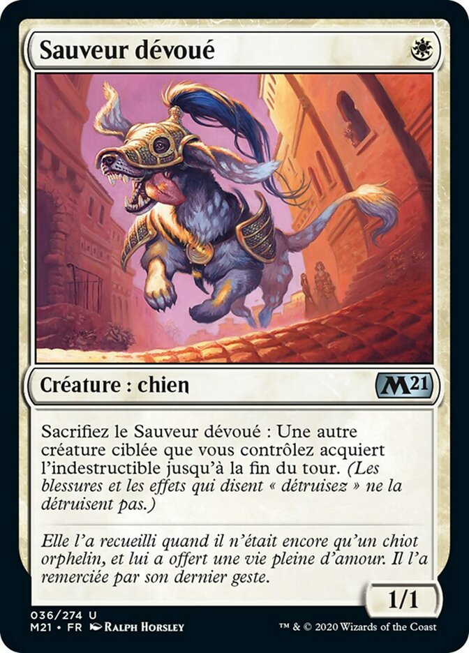 image Sauveur dévoué
