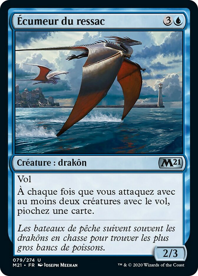 image Écumeur du ressac