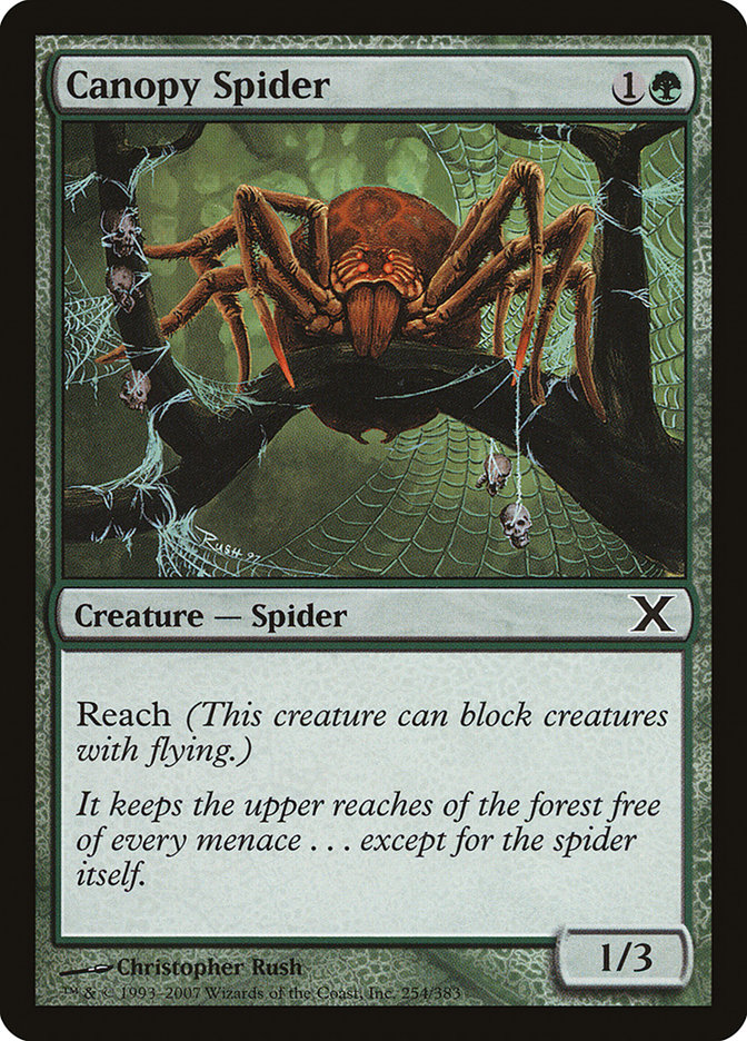 image Canopy Spider