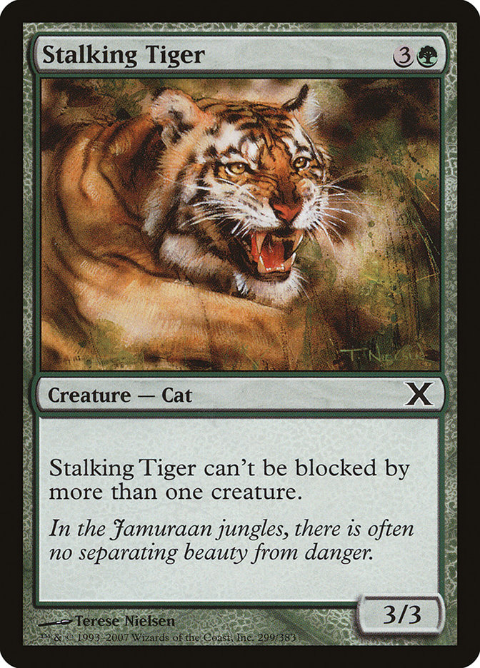 image Stalking Tiger