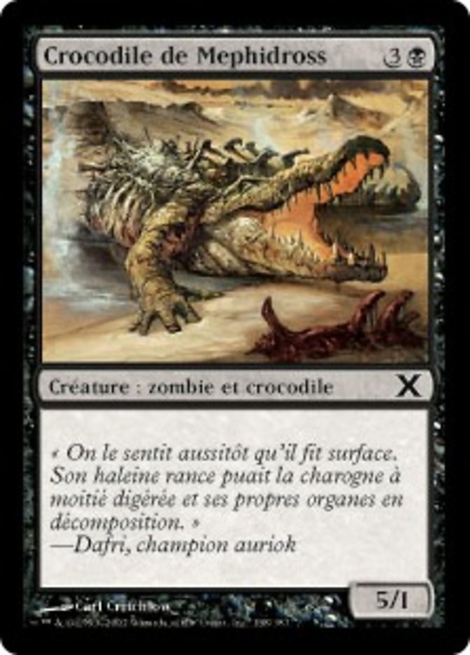 image Crocodile de Mephidross