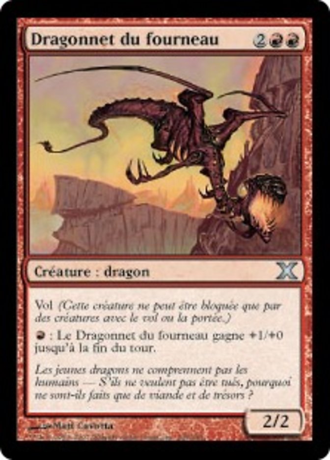 image Dragonnet du fourneau