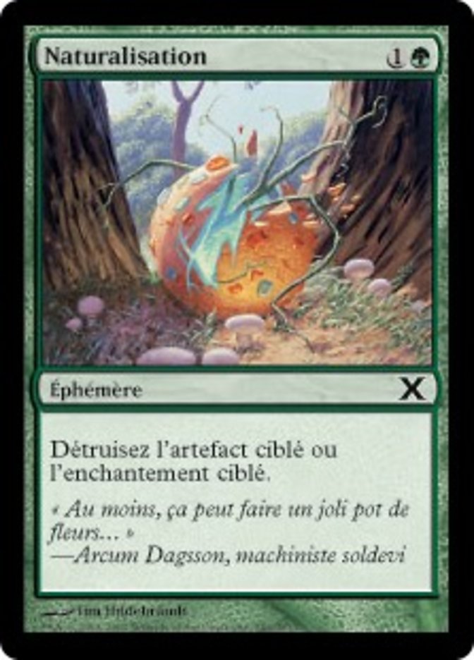 image Naturalisation