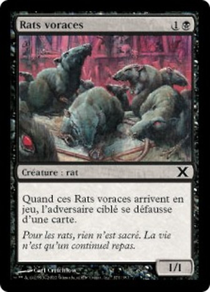image Rats voraces
