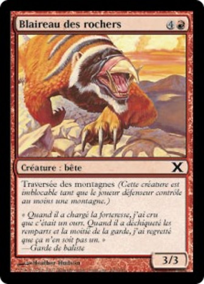 image Blaireau des rochers