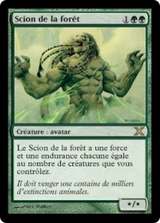 image Scion de la forêt