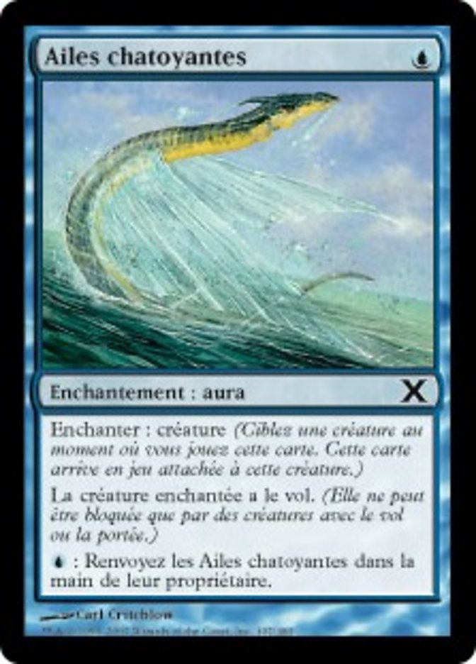 image Ailes chatoyantes