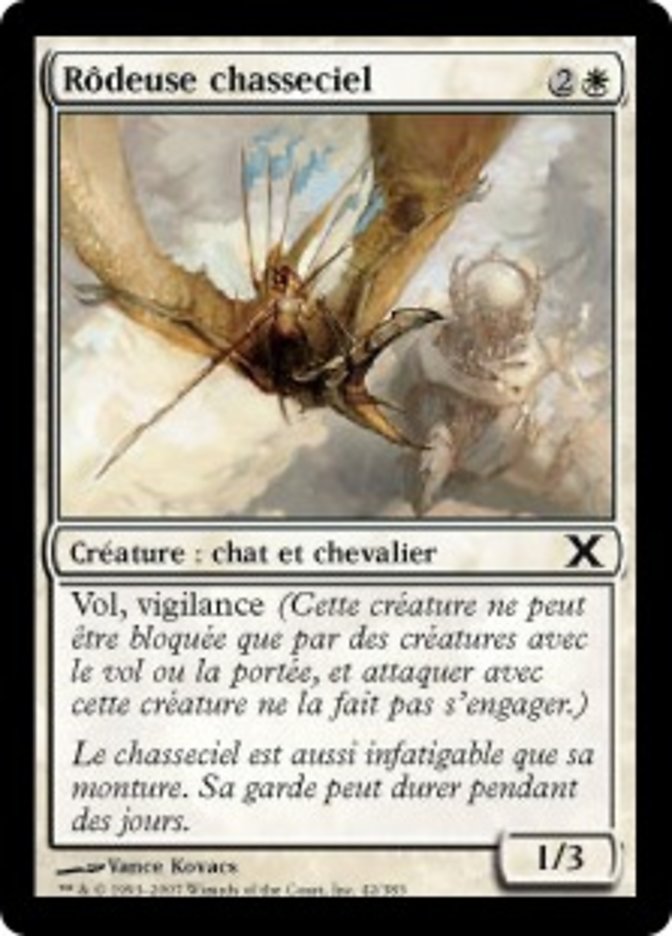 image Rôdeuse chasseciel