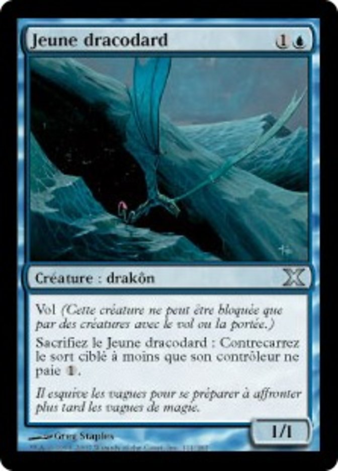 image Jeune dracodard