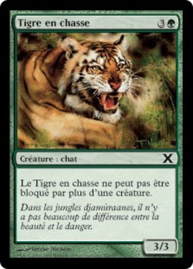 image Tigre en chasse