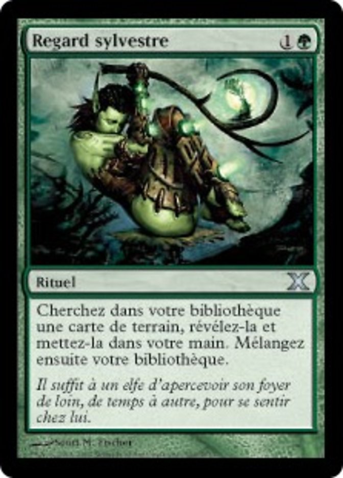 image Regard sylvestre