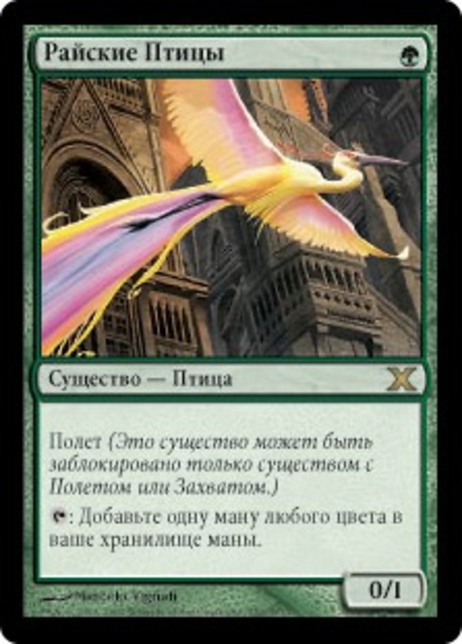 Райские Птицы