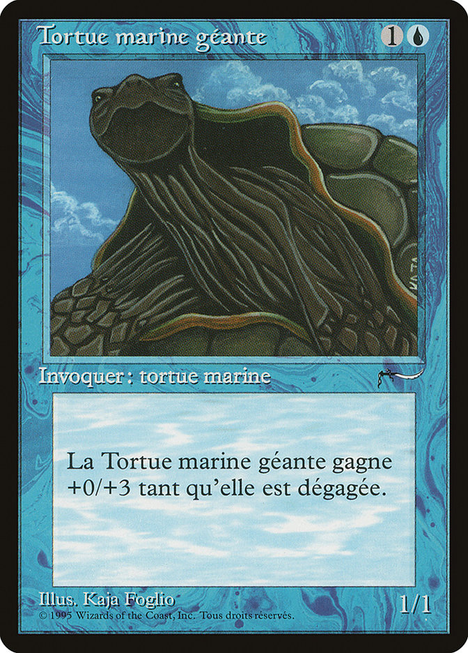 image Tortue marine géante