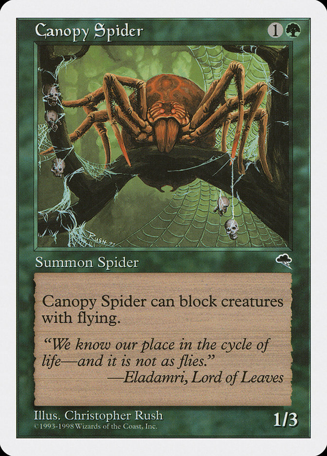 image Canopy Spider