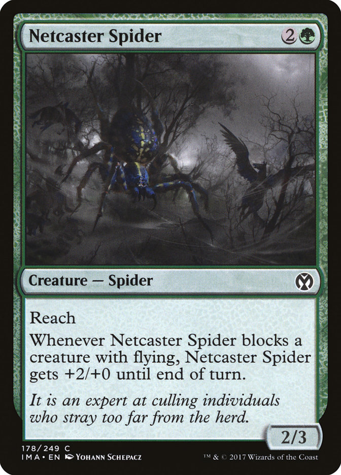 image Netcaster Spider