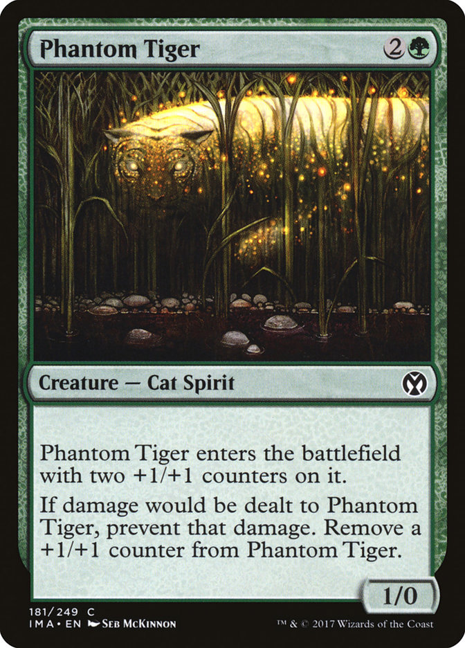 image Phantom Tiger