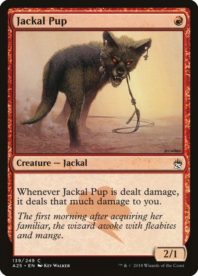 image Jackal Pup