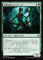 大群を産むナントゥーコ