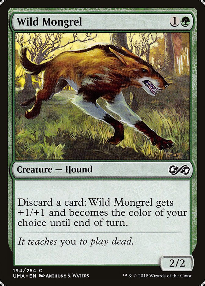 image Wild Mongrel
