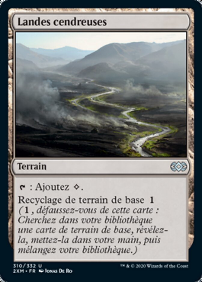 image Landes cendreuses