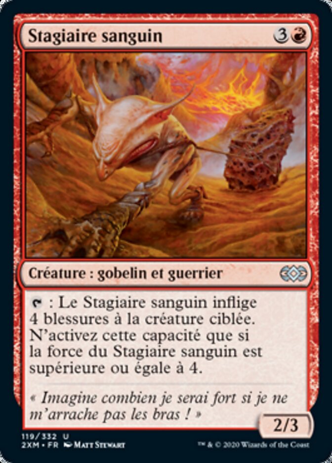 image Stagiaire sanguin