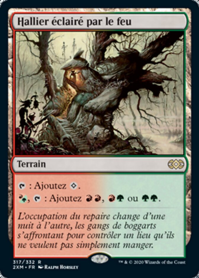 image Hallier éclairé par le feu