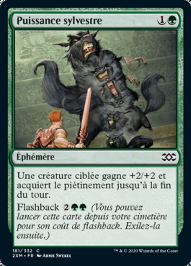 image Puissance sylvestre