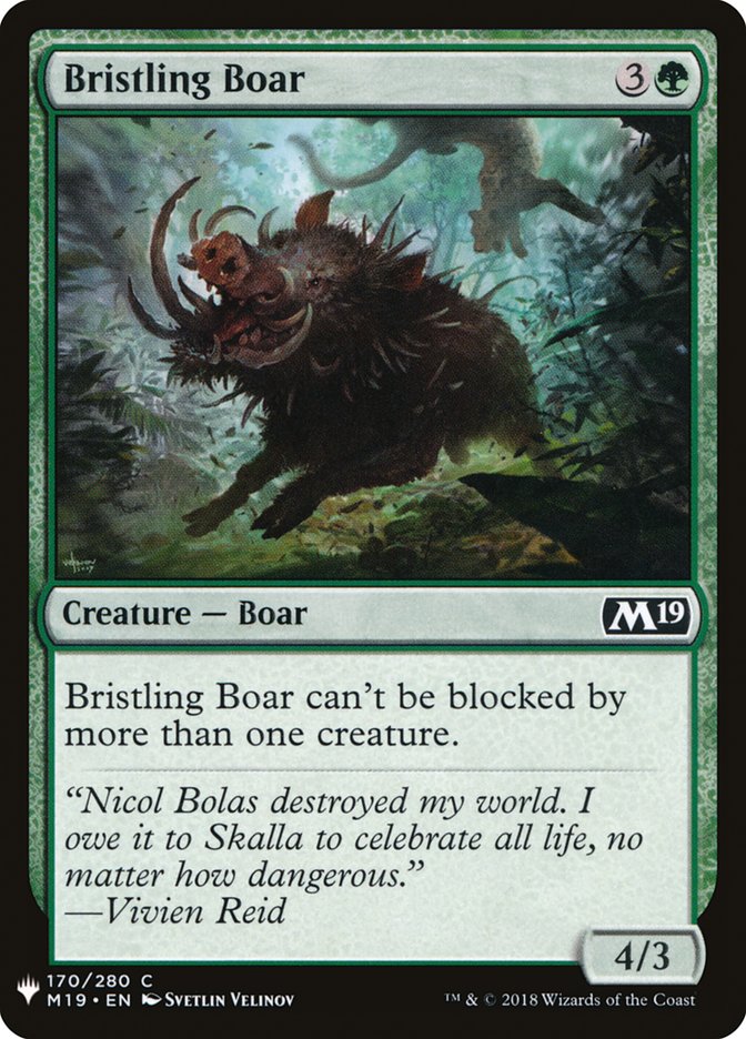 image Bristling Boar