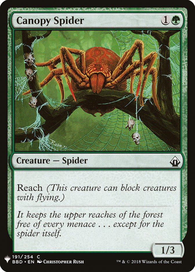 image Canopy Spider