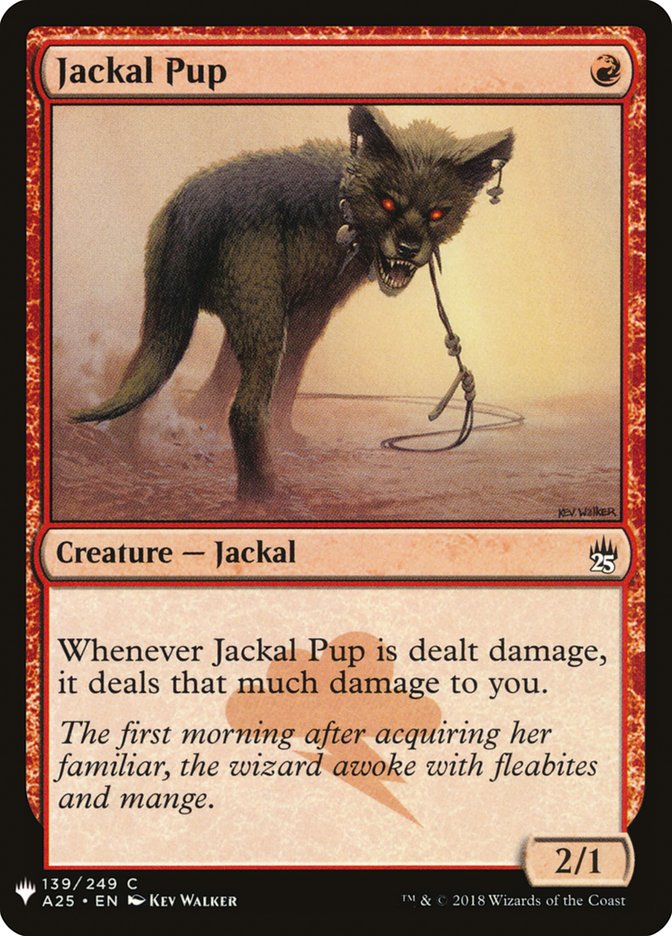 image Jackal Pup