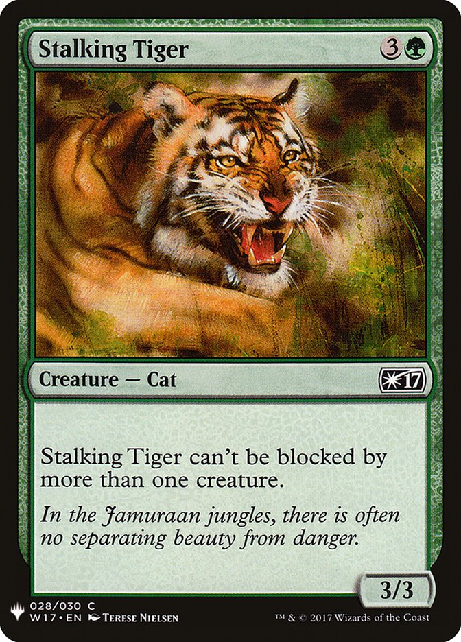 image Stalking Tiger