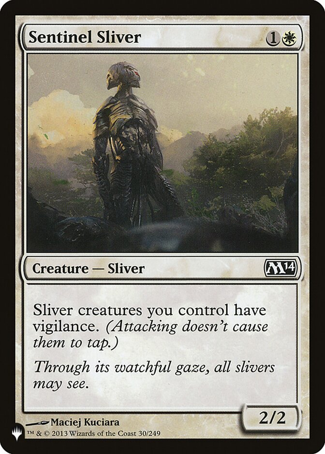 image Sentinel Sliver