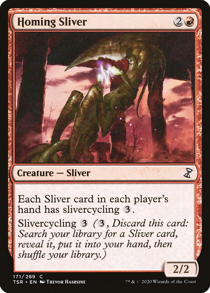 image Homing Sliver