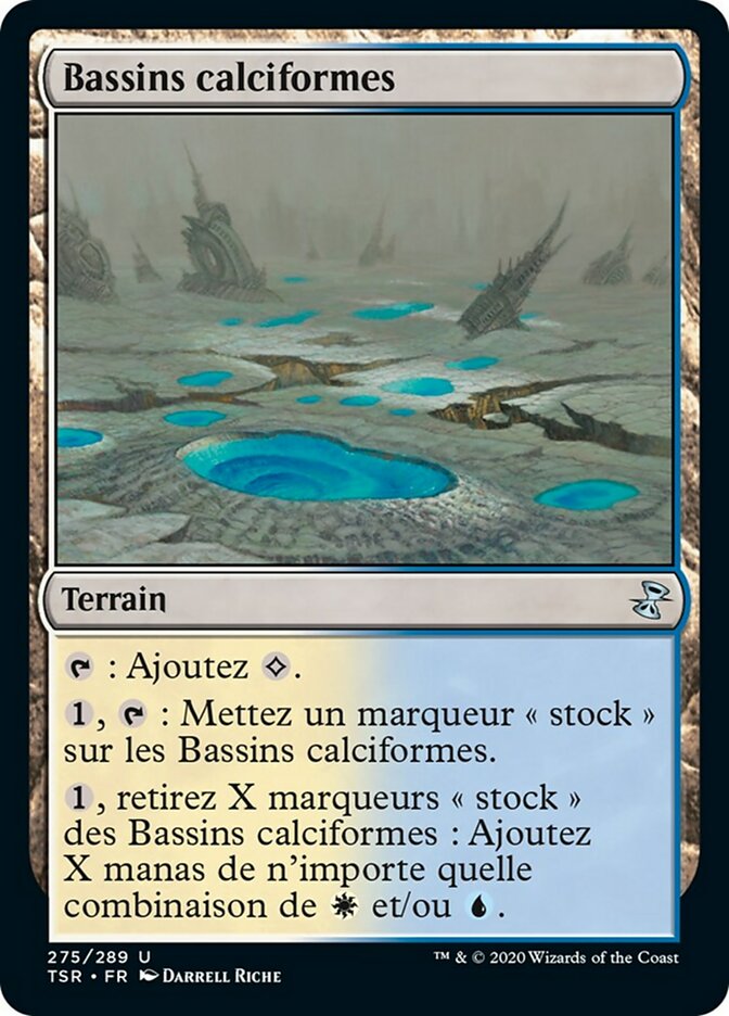 image Bassins calciformes