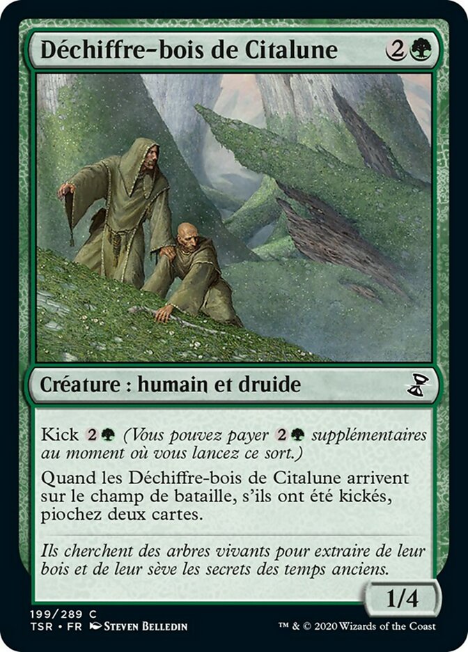 image Déchiffre-bois de Citalune