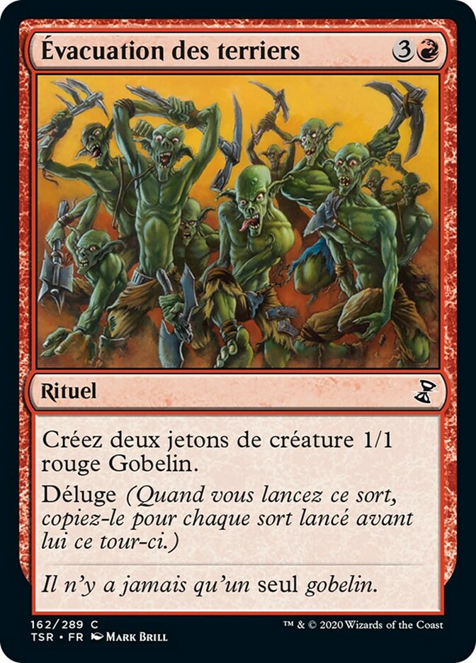 image Évacuation des terriers