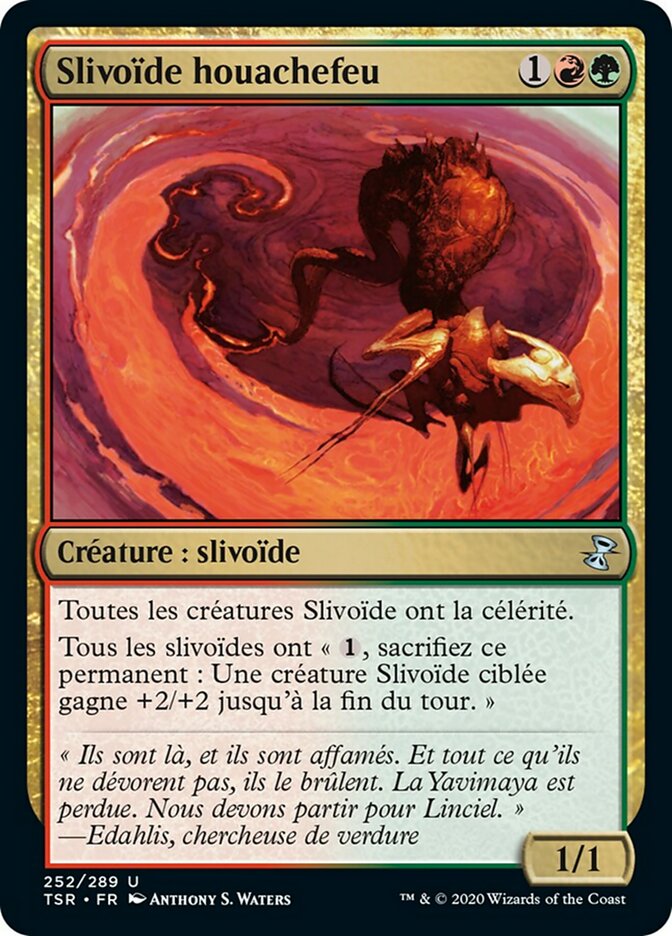 image Slivoïde houachefeu