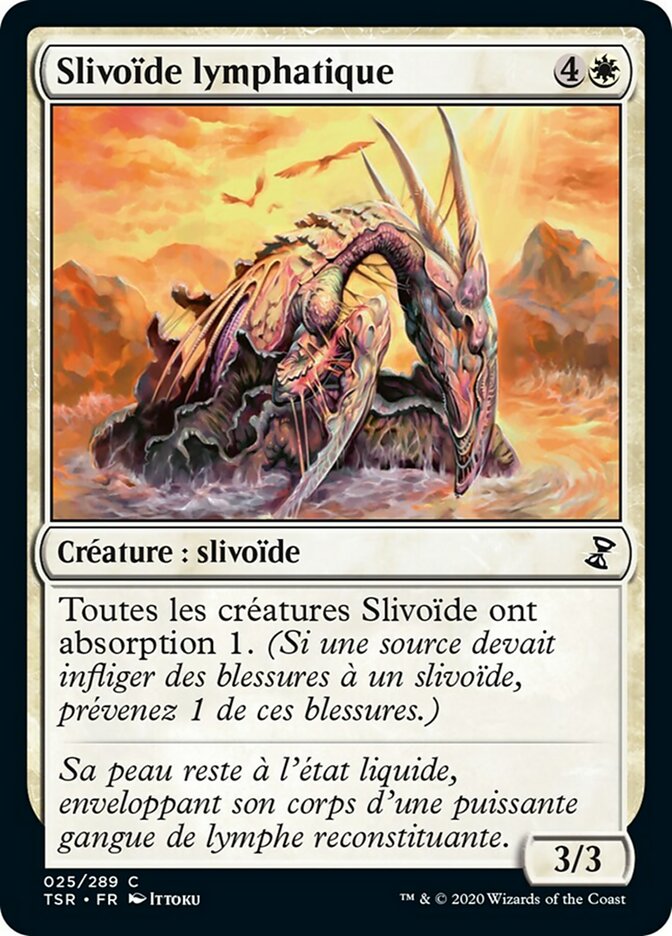 image Slivoïde lymphatique