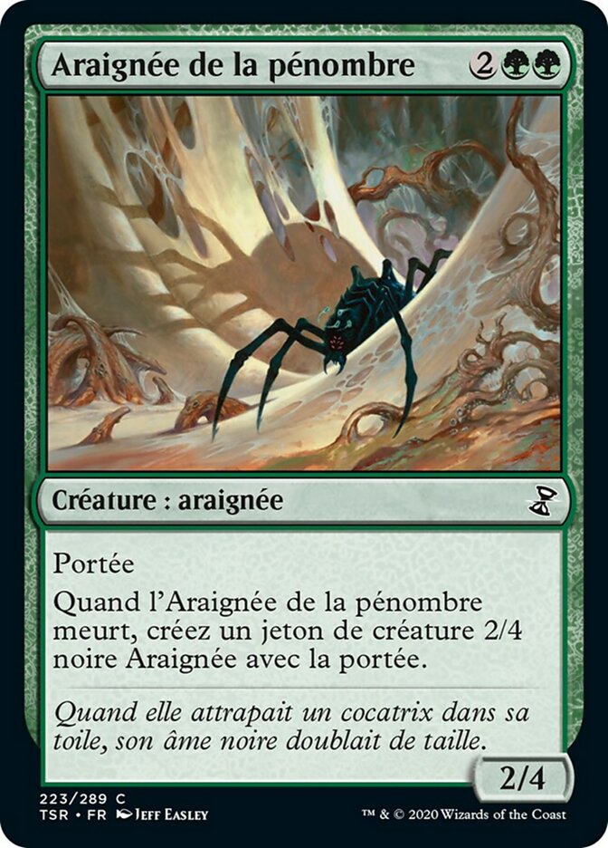 image Araignée de la pénombre