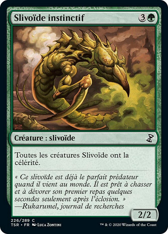 image Slivoïde instinctif