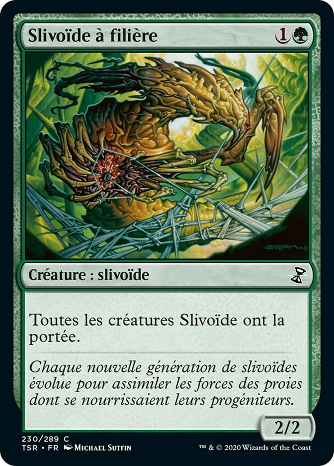 image Slivoïde à filière