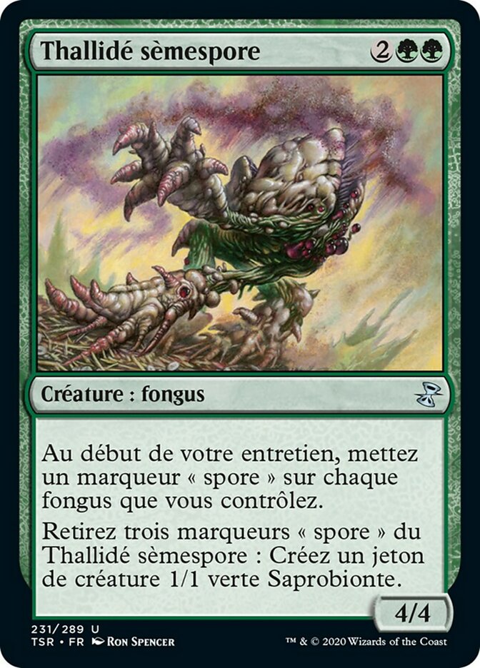 image Thallidé sèmespore