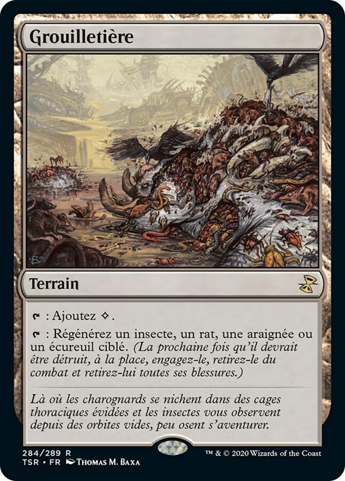 image Grouilletière