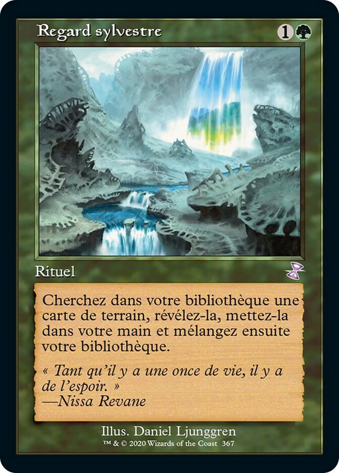 image Regard sylvestre